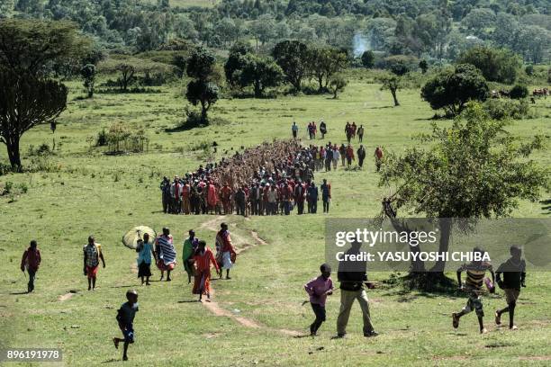 Circumcised Maasai young men wearing a ritual costume covered with hunted birds, come out from the bush to receive blessing from ceremony masters...