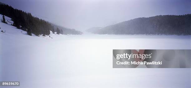 foggy landscape - forêt nationale de white river photos et images de collection