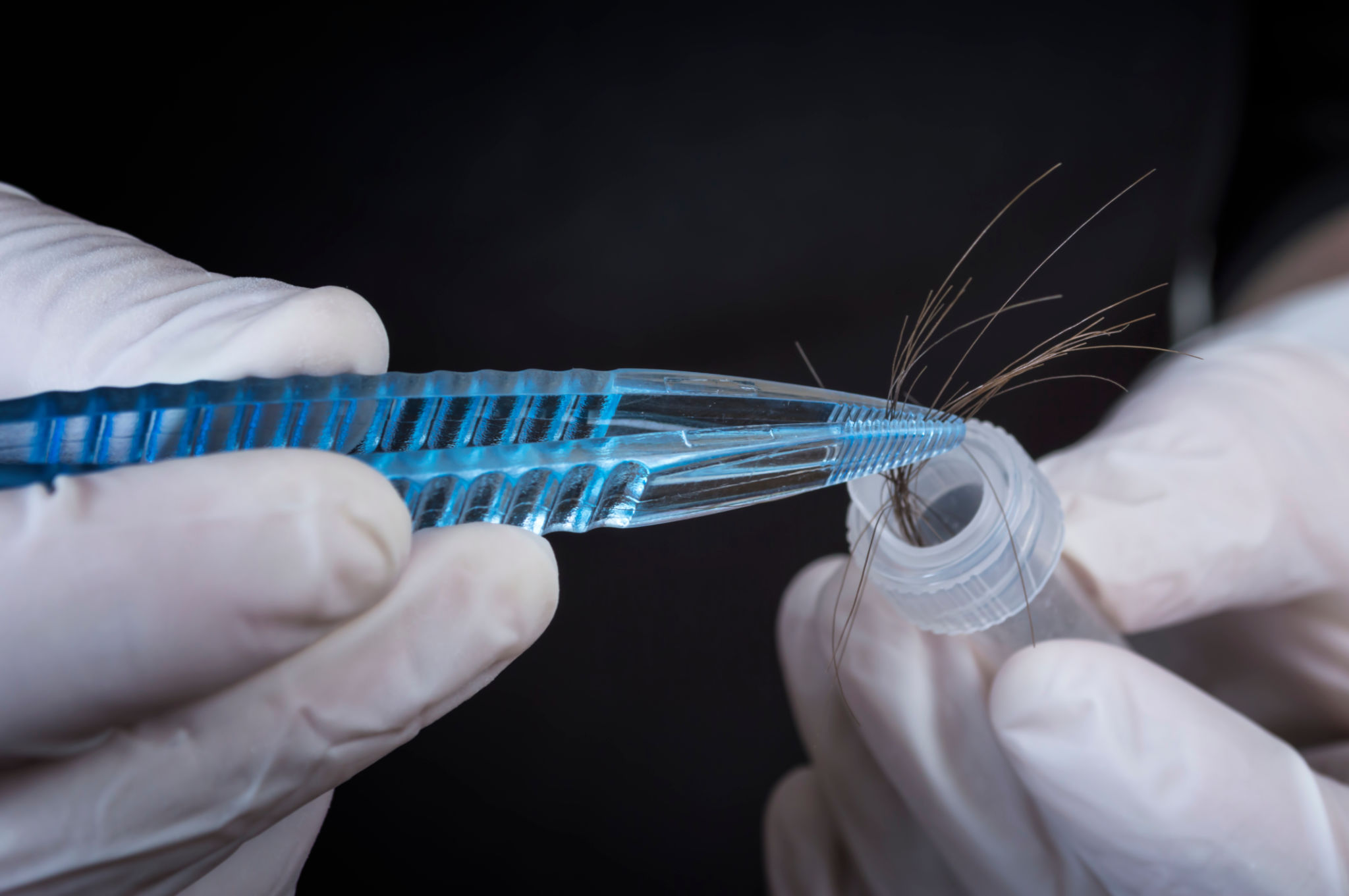 hair sample