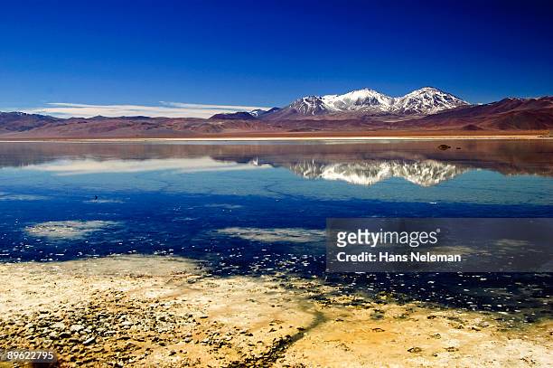 at the botton the "nevado tres cruces" volcano - copiapo stock pictures, royalty-free photos & images