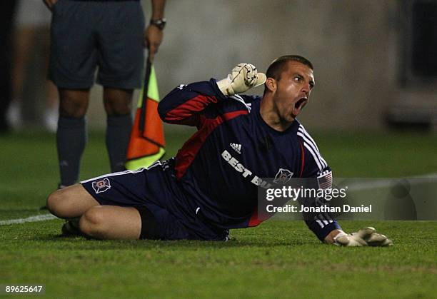 Goalkeeper Jon Busch of the Chicago Fire reacts after giving up a goal in a shoot out to Tigres UANL during the SuperLiga 2009 Final on August 5,...