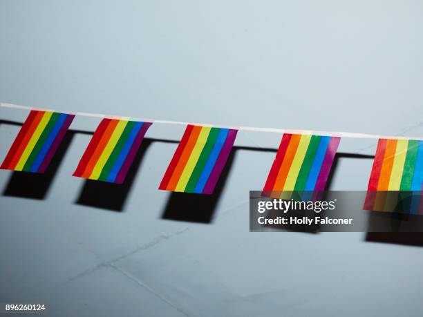 pride flags - holly falconer stock pictures, royalty-free photos & images