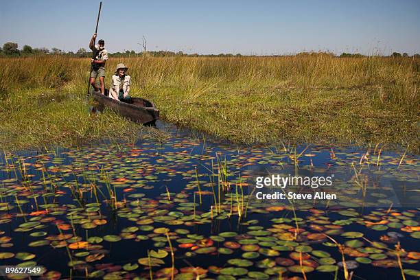 okavango delta - dugout canoe fotografías e imágenes de stock