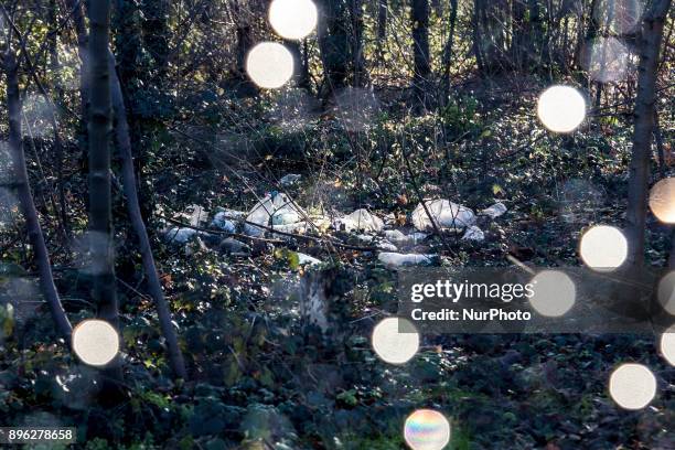 Litter left in the woods by immigrants in Calais, France