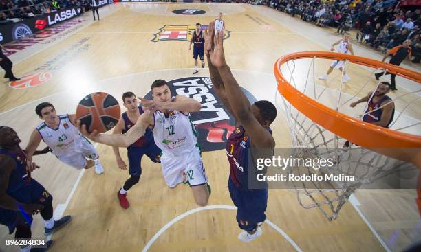 Dragan Milosavljevic, #12 of Unicaja Malaga in action during the 2017/2018 Turkish Airlines EuroLeague Regular Season Round 13 game between FC...