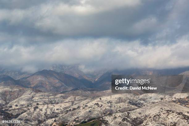 Ashen hillsides that were burned in burned in the Thomas Fire take on a nearly winter-like appearance on December 20, 2017 near Carpinteria,...