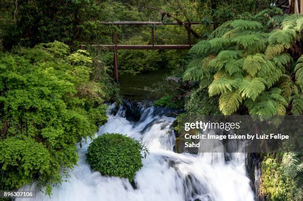 ojos del caburgua - pucon stockfoto's en -beelden