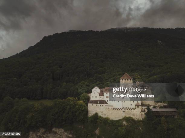 vaduz castle - vaduz castle 個照片及圖片檔