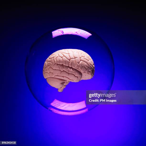 brain in a bubble - bulle protection photos et images de collection