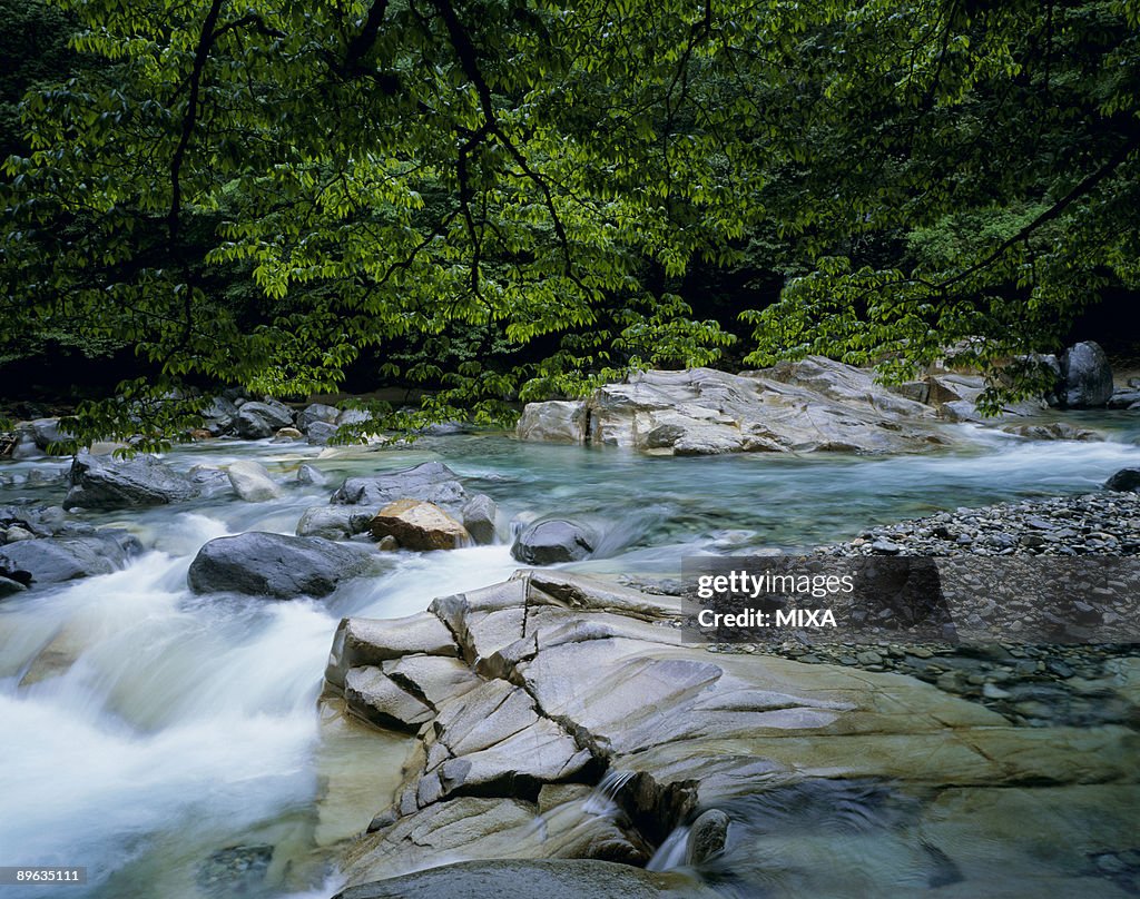 Rapid River