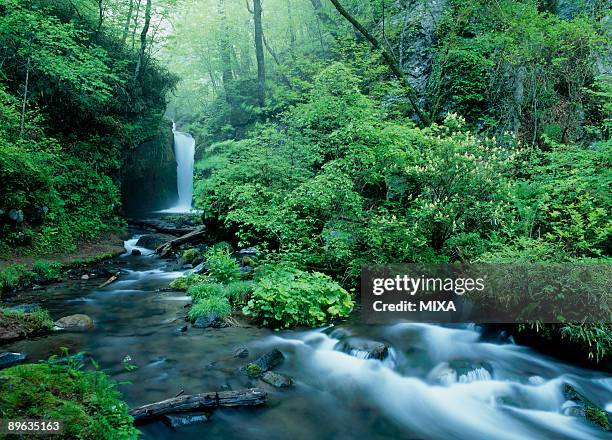 waterfall - karuizawa stock-fotos und bilder