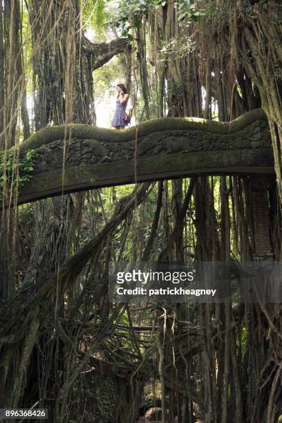 woman crossing the dragon bridge, bali monkey forest sanctuary - ubud monkey forest stock pictures, royalty-free photos & images