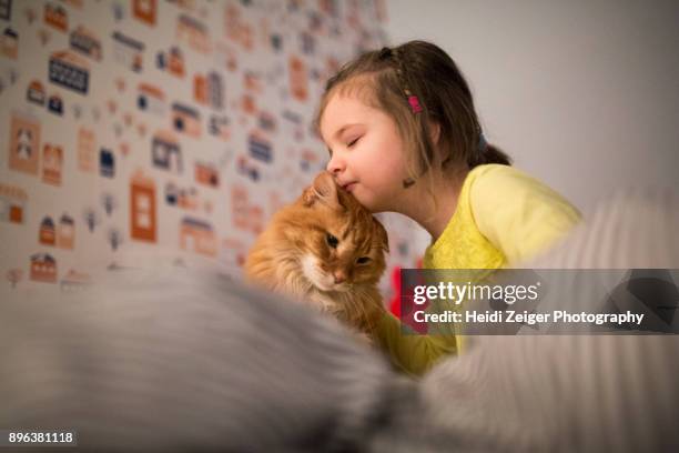 family moments - kid with cat stock-fotos und bilder