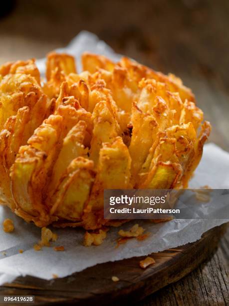 blooming onion - onion stock pictures, royalty-free photos & images