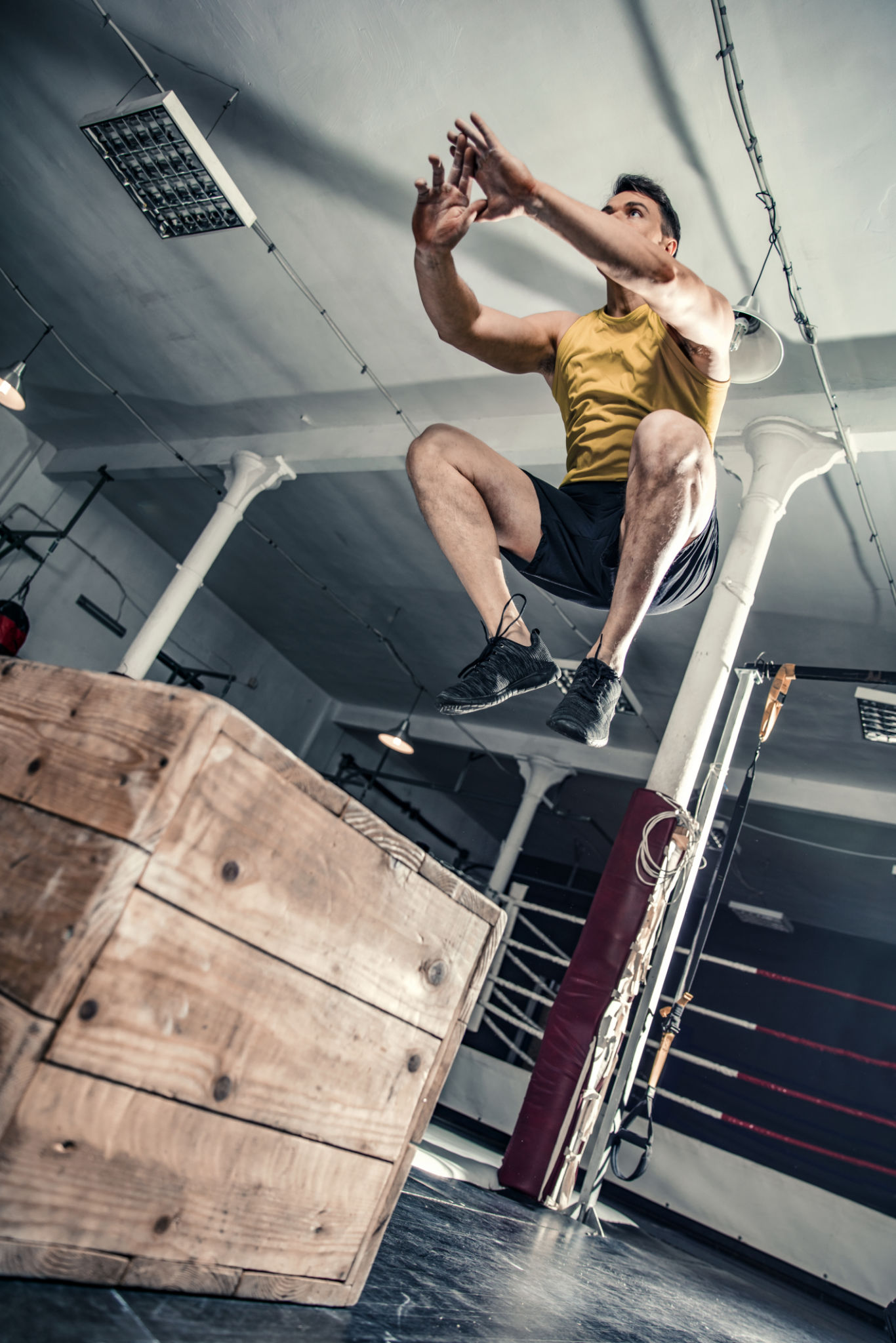 vertical jump