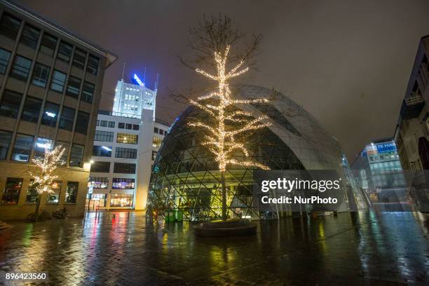 Evening and night images of Eindhoven city with Christmas light decoration all over the city center. Various Christmas trees are decorated, almost...