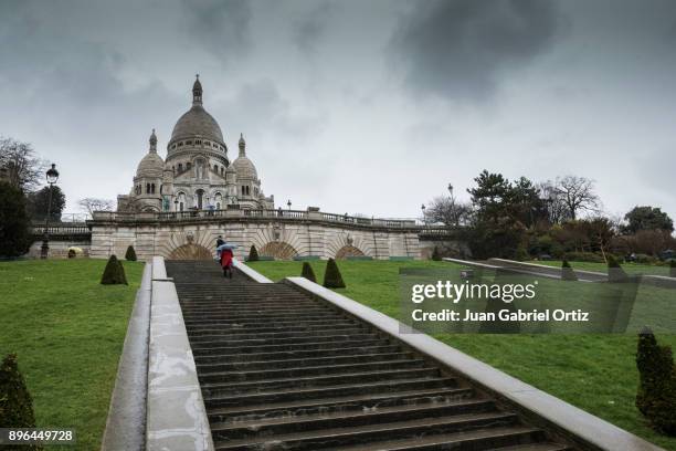 basilique du sacré-coeur 7 - arbre coeur stock pictures, royalty-free photos & images