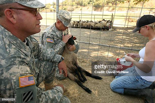Staff Sgt. James Yellis holds a sheep while Cal Poly student Naomi Quisenberry prepares an inoculation and Sgt. 1st Class Daniel Hanlin stands by as...