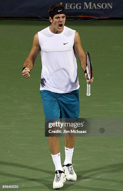 Juan Martin Del Potro of Argentina celebrates winning match point against Lleyton Hewitt of Australia during Day 4 of the Legg Mason Tennis Classic...