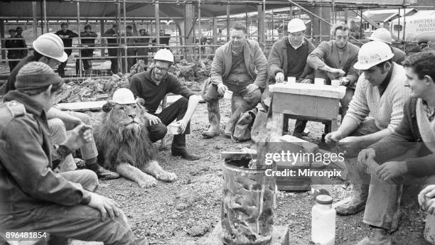 Lion Marquess having their lunch Left to Right Dave Beanland, Ginger Hall, Marquess the lion, Richard Congdon, Clive Webb, Mike Inman, Mike Harding,...