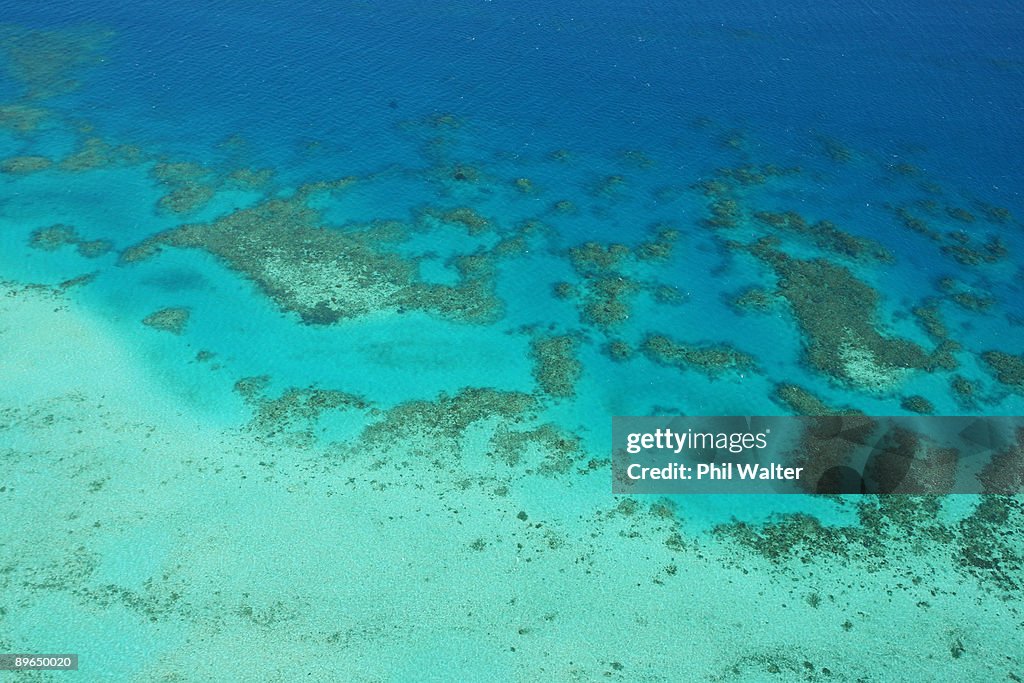 Great Barrier Reef Threatened With Extinction "Within 20 Years"