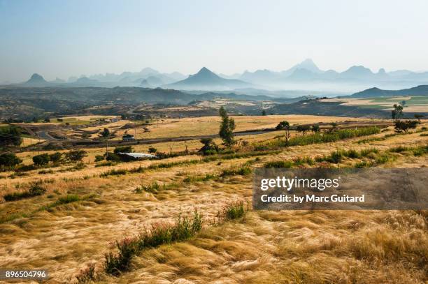 adwa mountains and farmland, tigray, ethiopia - adwa stock-fotos und bilder