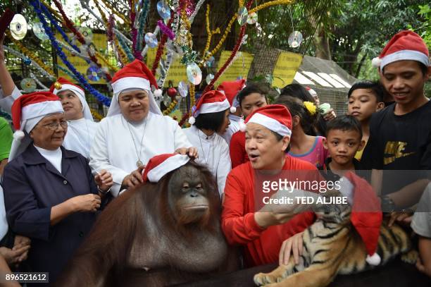 Zoo owner Manny Tangco feeds a Bengal tiger cub wearing a Santa hat while Catholic nuns adjust the Santa hat on an oranggutan during a Christmas...
