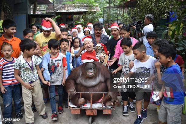 Zoo owner Manny Tangco sits next to an oranggutan and a Bengal tiger cub wearing a Santa hat during a Christmas party for children visiting from an...