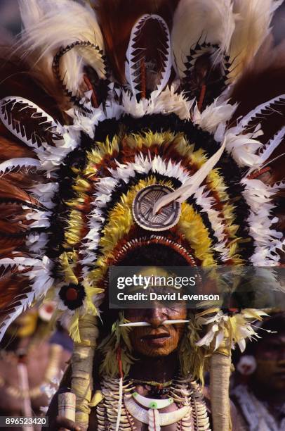 Native tribesman, wearing a birds of paradise headdress at a festival of song and dance, called a 'sing-sing' in Mount Hagen, Papua New Guinea. It...