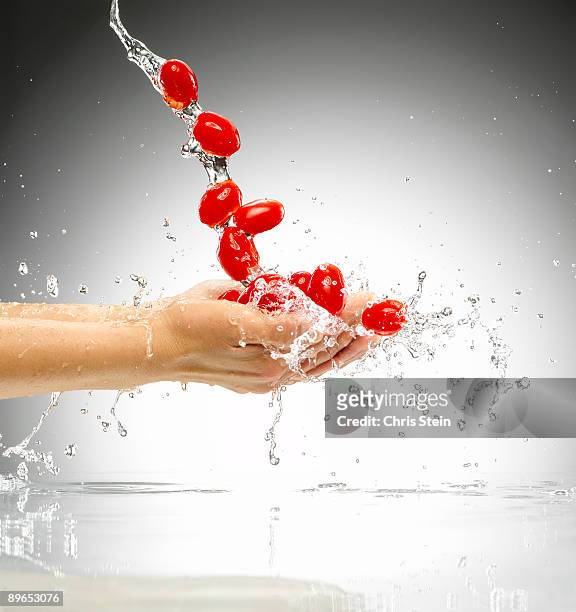 woman tossing plum tomatoes - throwing tomatoes stock pictures, royalty-free photos & images