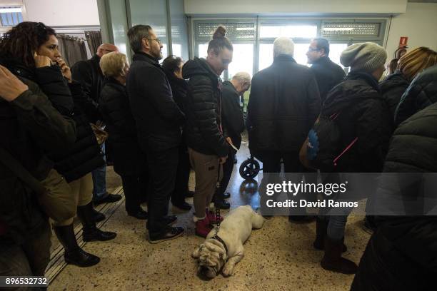 Voter stands in a queue with her dog to cast her ballor paper on December 21, 2017 in Barcelona Spain. Catalan voters are heading to the polls today...