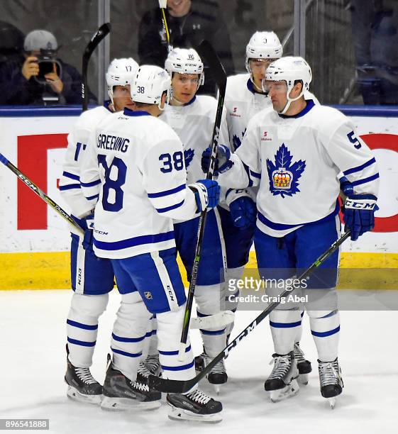 The Toronto Marlies celebrate their goal against the Manitoba Moose during AHL game action on December 17, 2017 at Ricoh Coliseum in Toronto,...