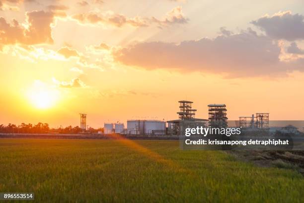 biodiesel refinery in thailand.,sunset,sky - éthanol photos et images de collection
