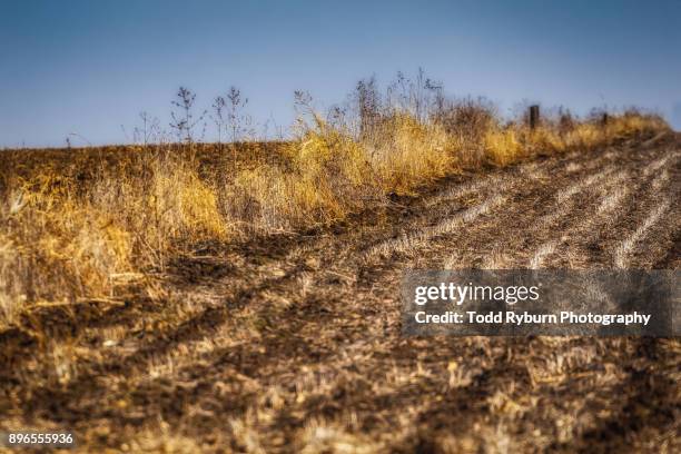 midwest before the snow - field stubble stock pictures, royalty-free photos & images