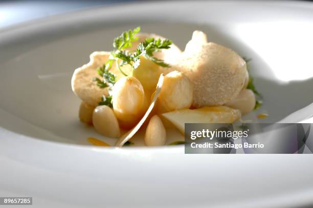 Menu cooked by Ferran Adria, Juan Maria Arzak y Paco Roncero that will be served on the Gala dinner in El Pardo Palace In this picture: Leaf bud of...