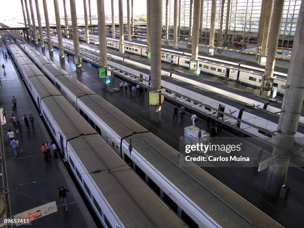 Railway Station of Atocha in Madrid. . Platform.