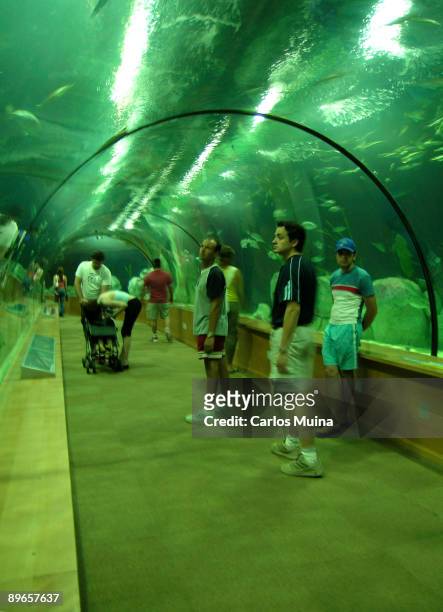 Valencia . The O'ceanographic, Europe's largest aquarium. Submarine tunnel of the Temperate and Tropical's zone.
