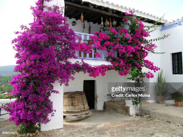 Balearics Islands, Spain. Ibiza Island . Sant Carles. Traditional home.