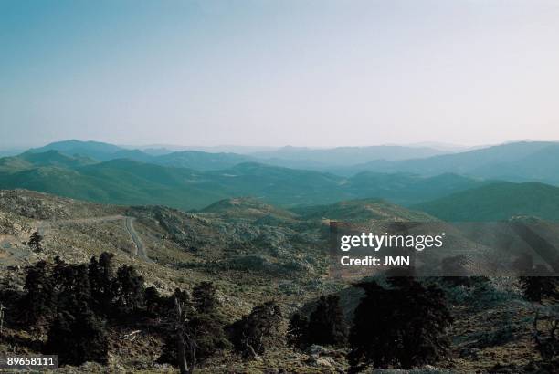 Ronda Sierra Pines of Sierra of Ronda, Malaga province