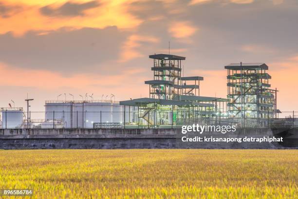 oil refinery building,biodiesel refinery in thailand.,sunset,sky - bio diesel foto e immagini stock