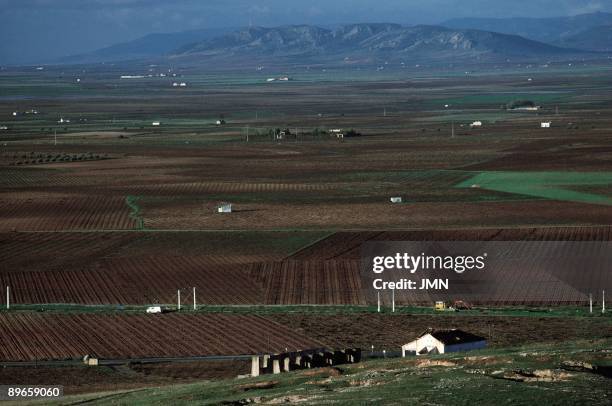 Fields of Alcazar de San Juan. Ciudad Real Panoramic of the extensive plain of La Mancha. To the bottom, some isolated hills