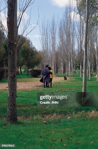 Park in Alcazar de San Juan. Ciudad Real A couple of boyfriends goes for a walk with her dog in a park of the city