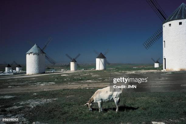 Windmills of La Mancha. Campo de Criptana. Ciudad Real View of the traditional windmills of La Mancha, immortalized by Cervantes in their novel Don...