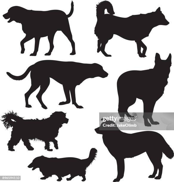 ilustrações de stock, clip art, desenhos animados e ícones de dog silhouettes 4 - tail