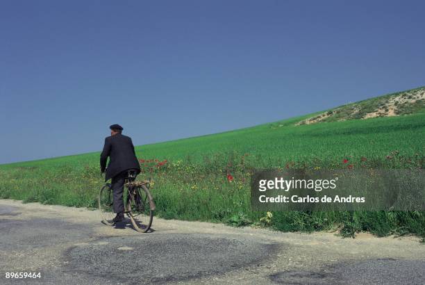 Man on bicycle View of a man on bicycle for a regional road