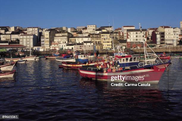 Finisterre Seaport View of ships tied to Finisterre seaport, A Coruna province