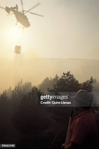 Forest fire A helicopter put out the fire of the forest fire in Somosierra. Madrid province