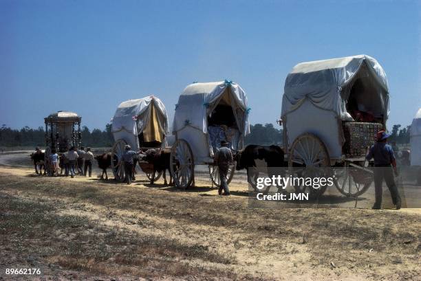 Procession of the Rocio Several carts follow the Rocio´s Virgin during the procession. Huelva province