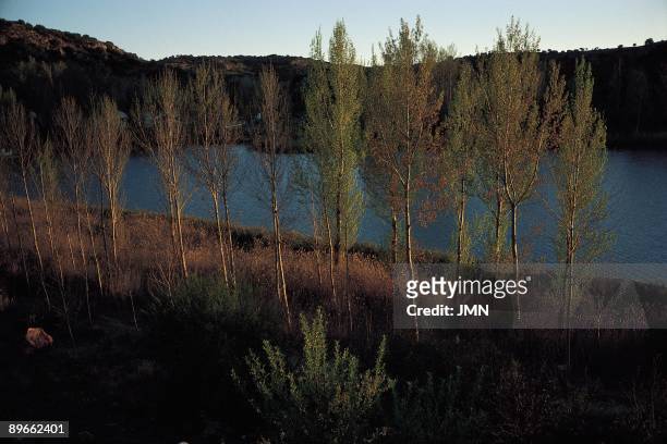 Lagunas de Ruidera. Ciudad Real View of a corner of this natural park formed by 17 lagoons with waterfalls of great hydrological and geomorphological...