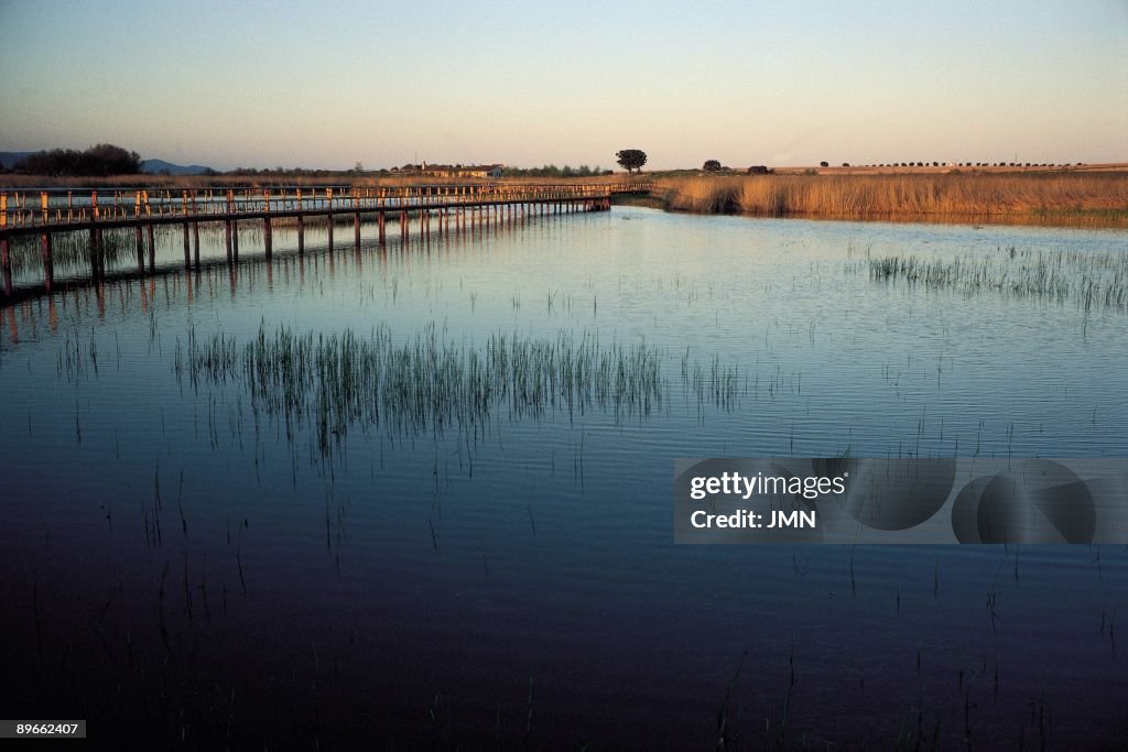 National Park Las Tablas de Daimiel. Ciudad Real Footbridge of observation of this important humid area of La Mancha, declared National Park in 1973 for their extraordinary ecological value